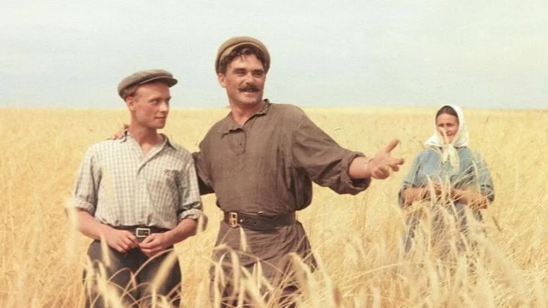 Горизонтальный кадр из проекта «Возвращение Василия Бортникова»