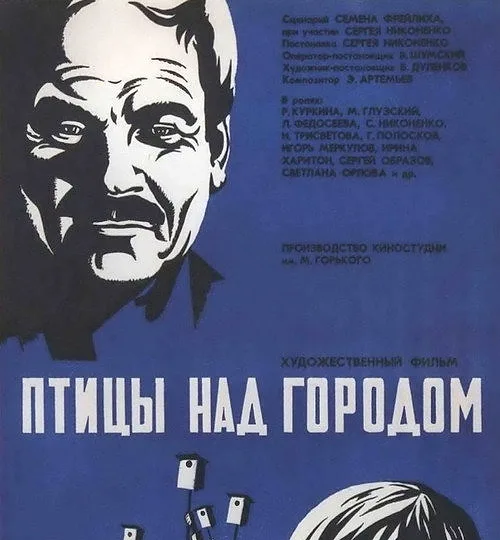 Горизонтальный кадр из проекта «Птицы над городом»